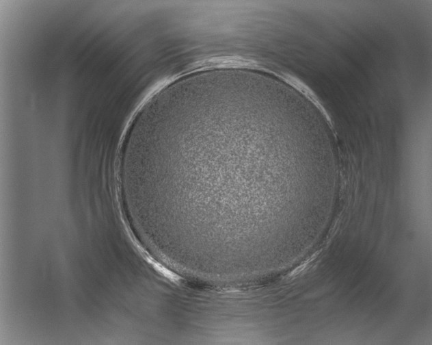 X0000057101381200509120957