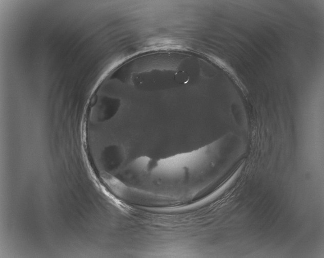 X0000057101383200509120957