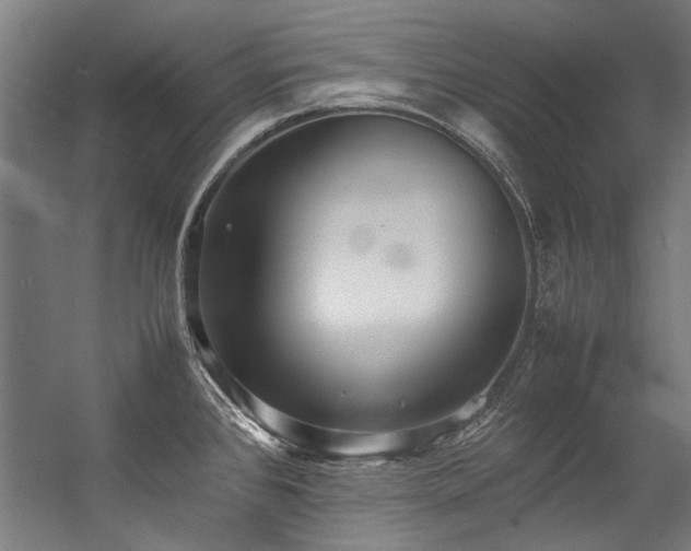 X0000057101384200509120957