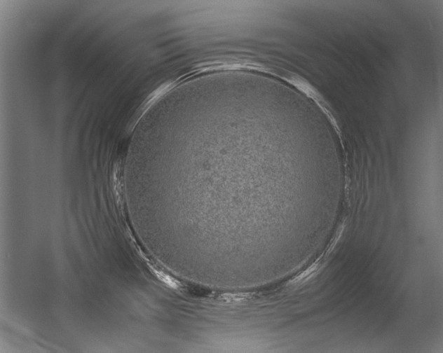 X0000057101385200509120957