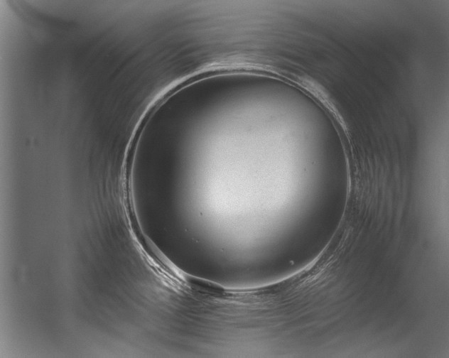 X0000057101388200509120956