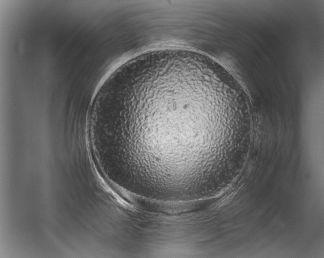 X0000057101390200509120956