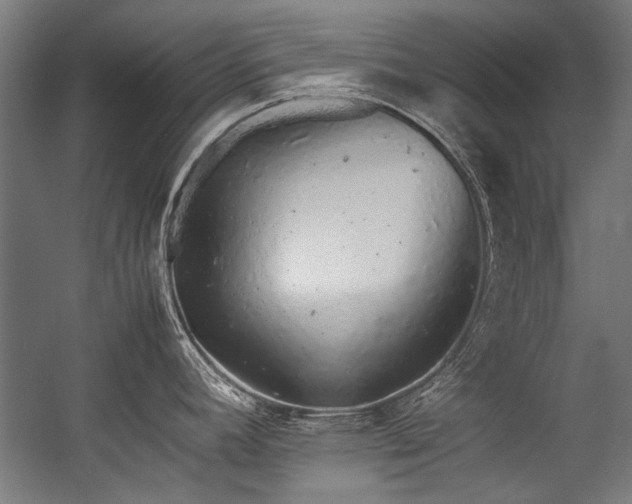 X0000057101392200509120956