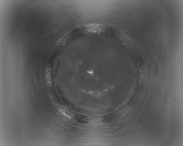 X0000057101394200509120956