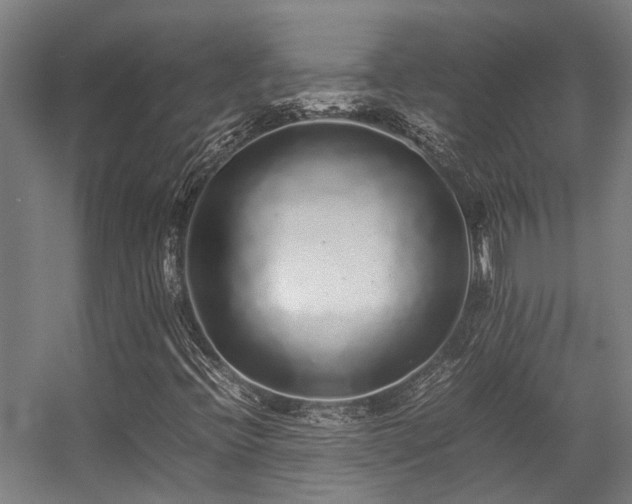 X0000057101396200509120956