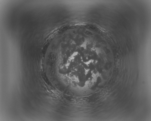 X0000057101397200509120956