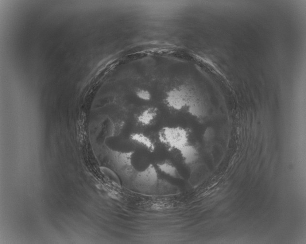 X0000057101399200509120956