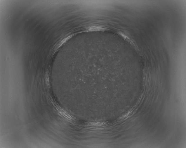 X0000057101401200509120956