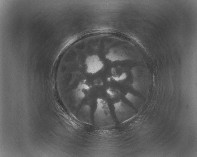 X0000057101405200509120956