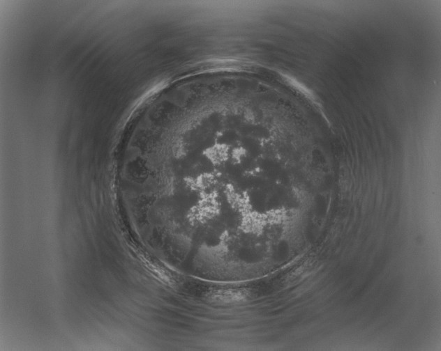 X0000057101411200509120956