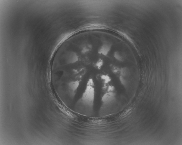 X0000057101413200509120956