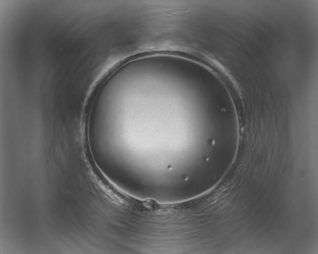 X0000057101416200509120956