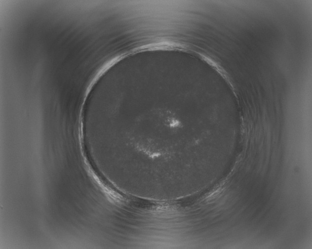 X0000057101418200509120956