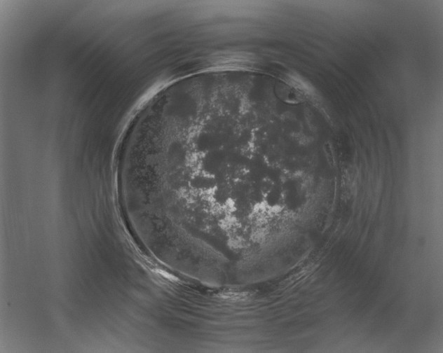 X0000057101419200509120956