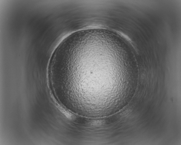 X0000057101423200509120956