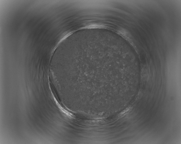 X0000057101425200509120956