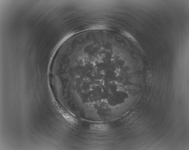 X0000057101427200509120956