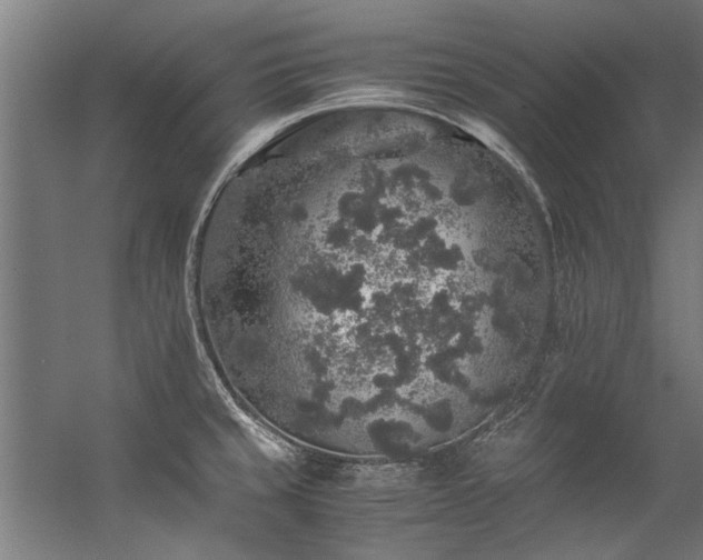 X0000057101429200509120956