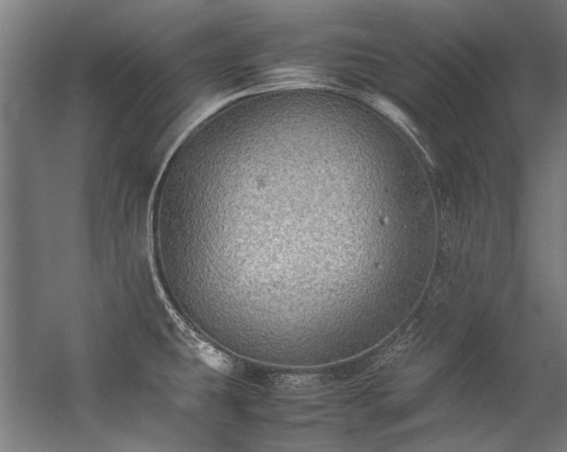 X0000057101431200509120956