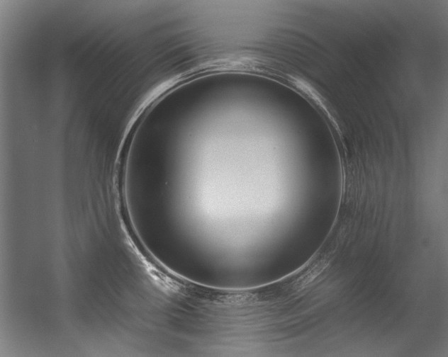 X0000057101434200509120956