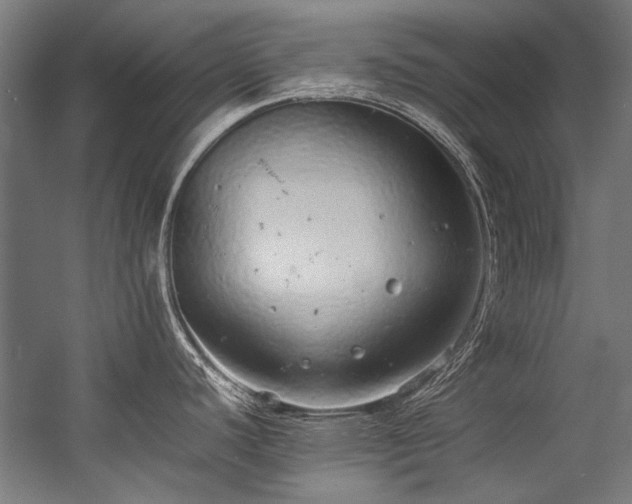 X0000057101440200509120956