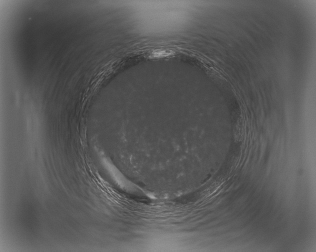 X0000057101441200509120956