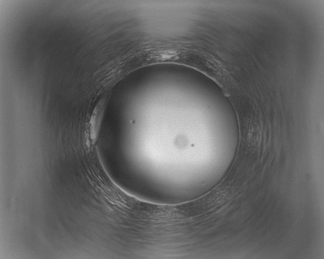 X0000057101442200509120956