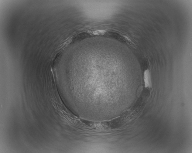 X0000057101443200509120956