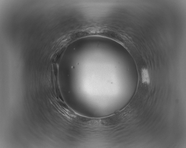 X0000057101444200509120956