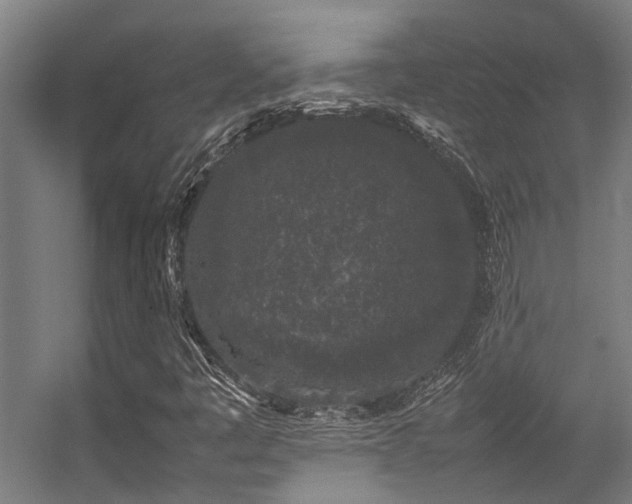 X0000057101445200509120956