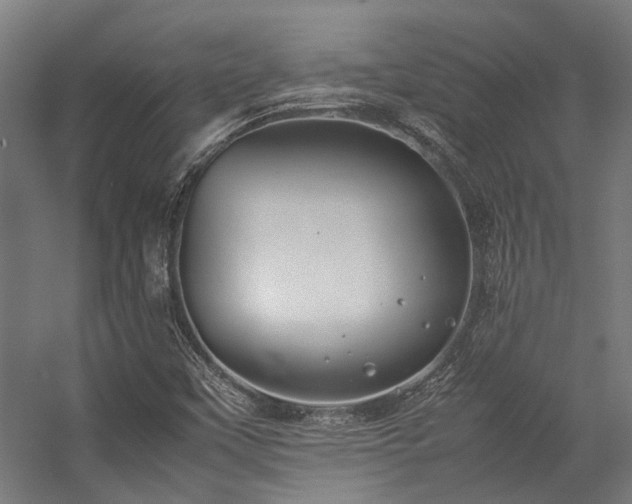 X0000057101451200509120955