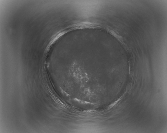 X0000057101453200509120955