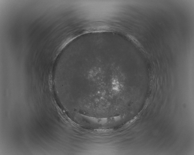 X0000057101457200509120955