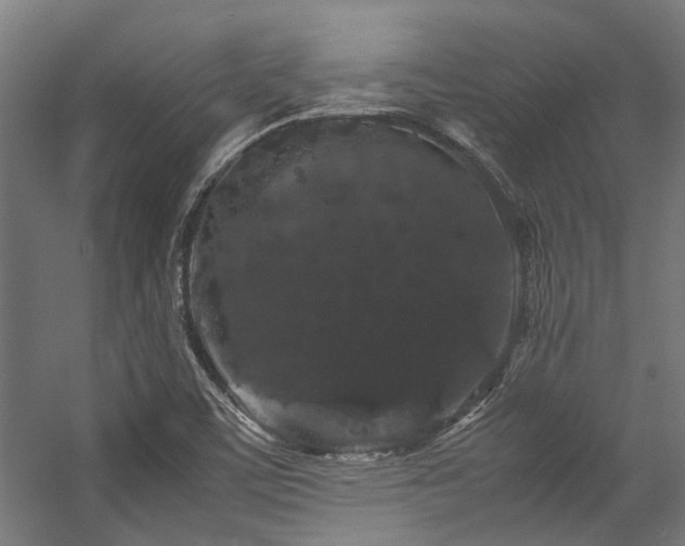 X0000057101459200509120955