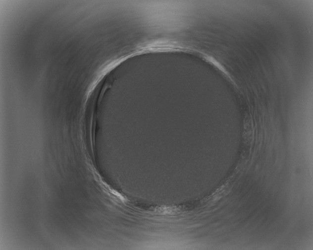 X0000057101461200509120955