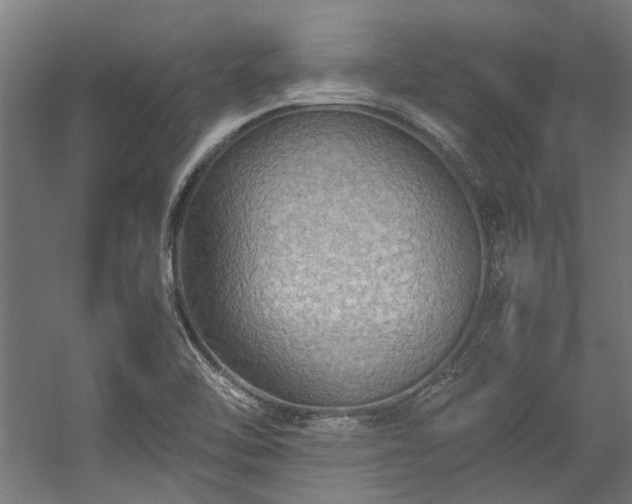 X0000057101462200509120955