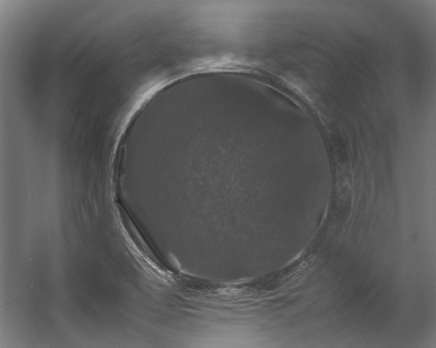 X0000057101463200509120955