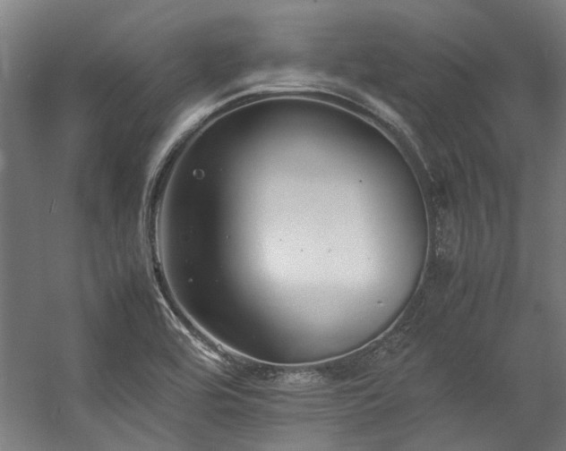 X0000057101464200509120955