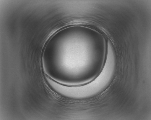 X0000057101465200509120955