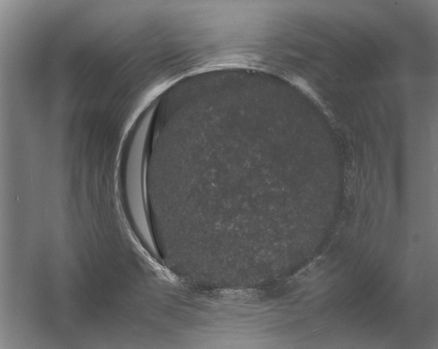 X0000057101469200509120955