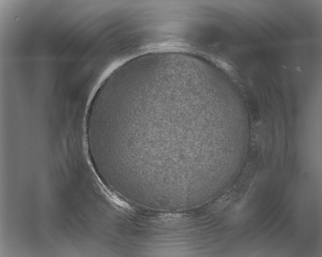 X0000057101470200509120955