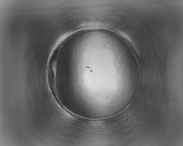 X0000057101472200509120955