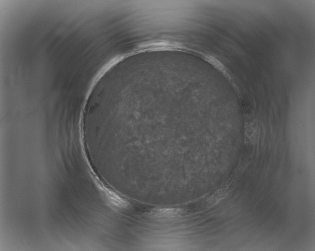 X0000057101474200509120955