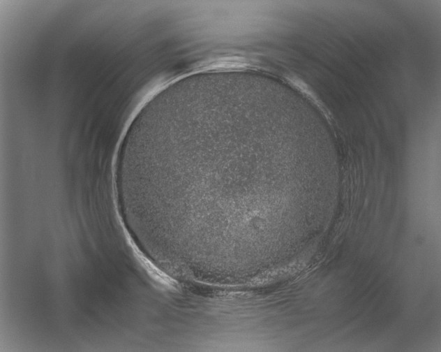 X0000057101475200509120955