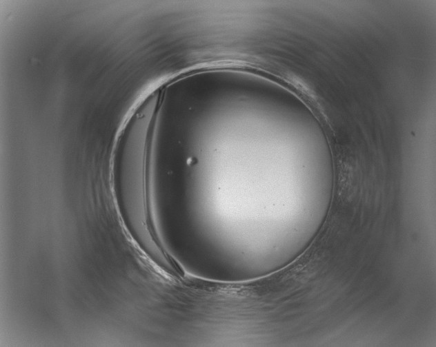 X0000057101480200509120955