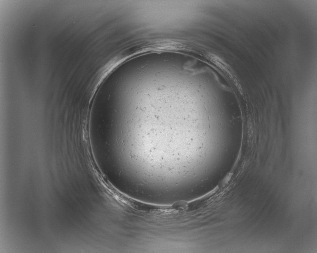 X0000057101481200509120955