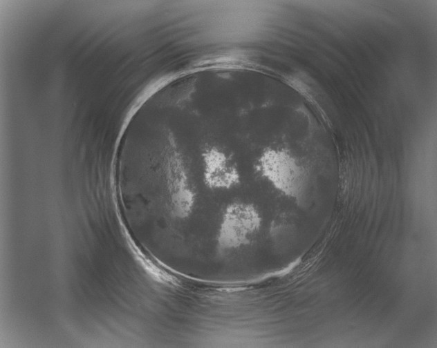 X0000057101482200509120955