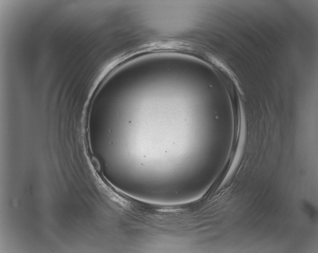 X0000057101483200509120955