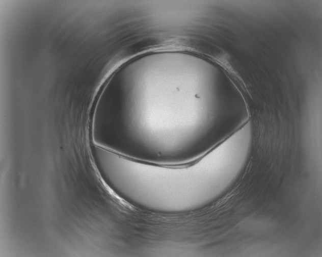 X0000057101484200509120955