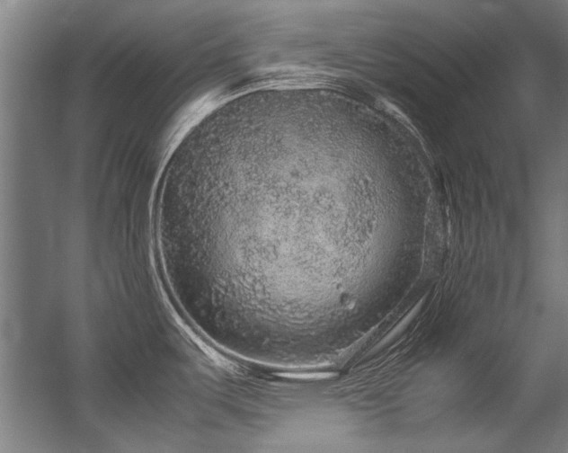 X0000057101487200509120955